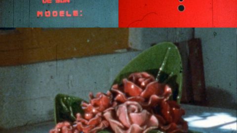 Ciné-conférence Florilège