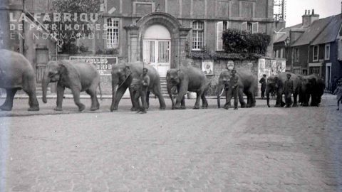 Dans quelle ville a-t-on pu apercevoir des éléphants en pleine rue le 20 mai 1936 ?