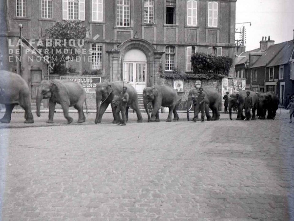 Dans quelle ville a-t-on pu apercevoir des éléphants en pleine rue le 20 mai 1936 ?